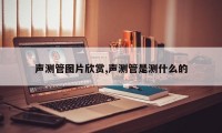 声测管图片欣赏,声测管是测什么的