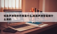 桩基声测管的作用是什么,桩基声测管是做什么用的